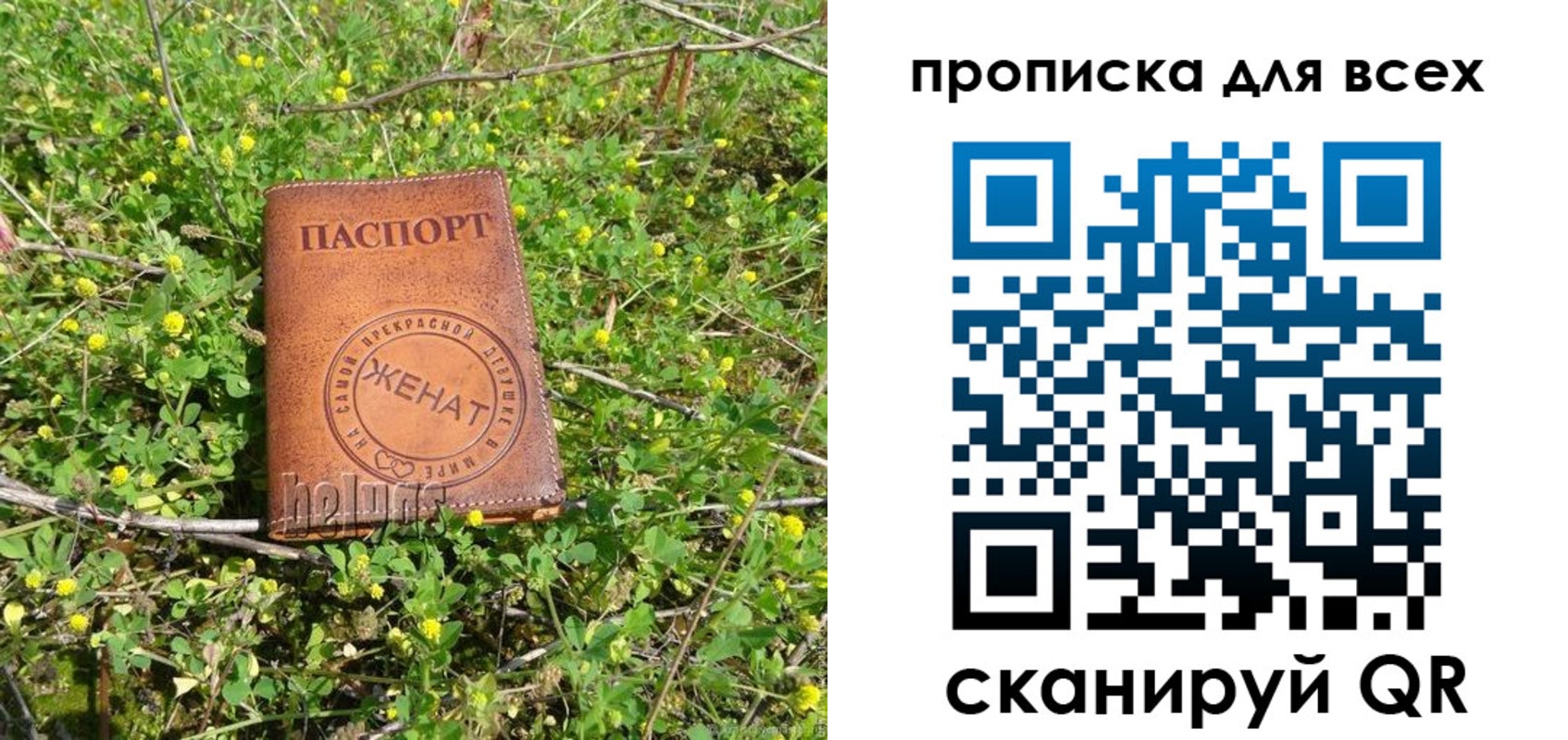 прописка поиск в Пермской области